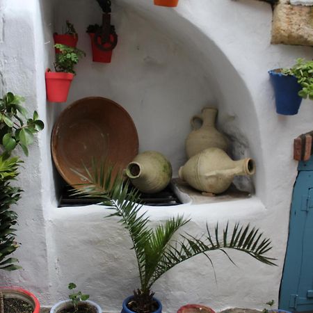 Vivienda Turistica De Alojamiento Rural Silla Vieja Vejer de la Frontera Dış mekan fotoğraf