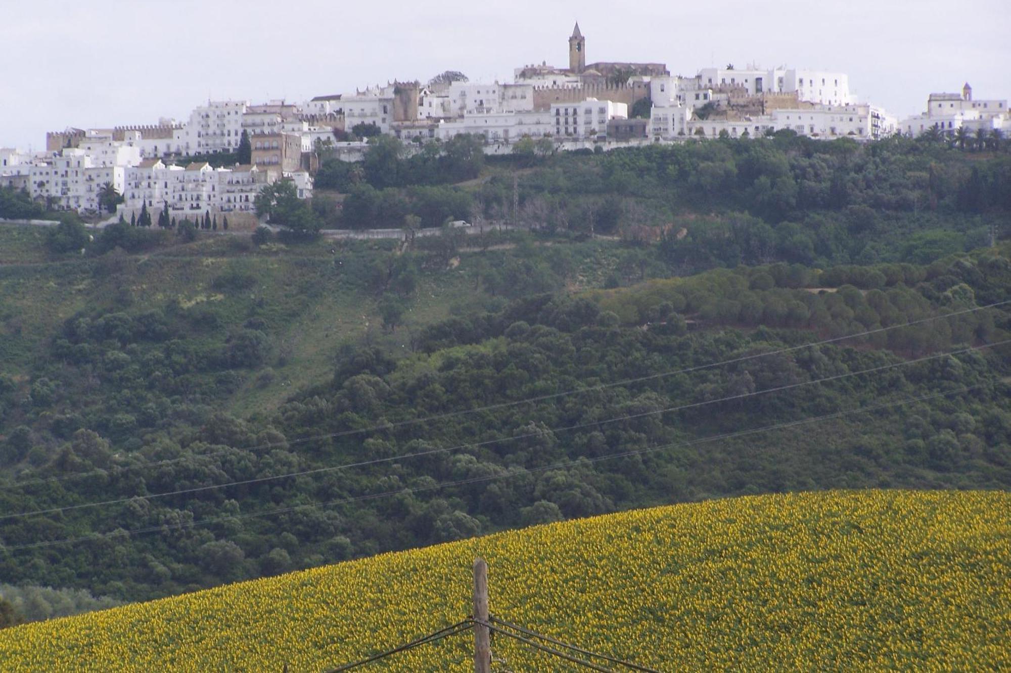 Vivienda Turistica De Alojamiento Rural Silla Vieja Vejer de la Frontera Dış mekan fotoğraf