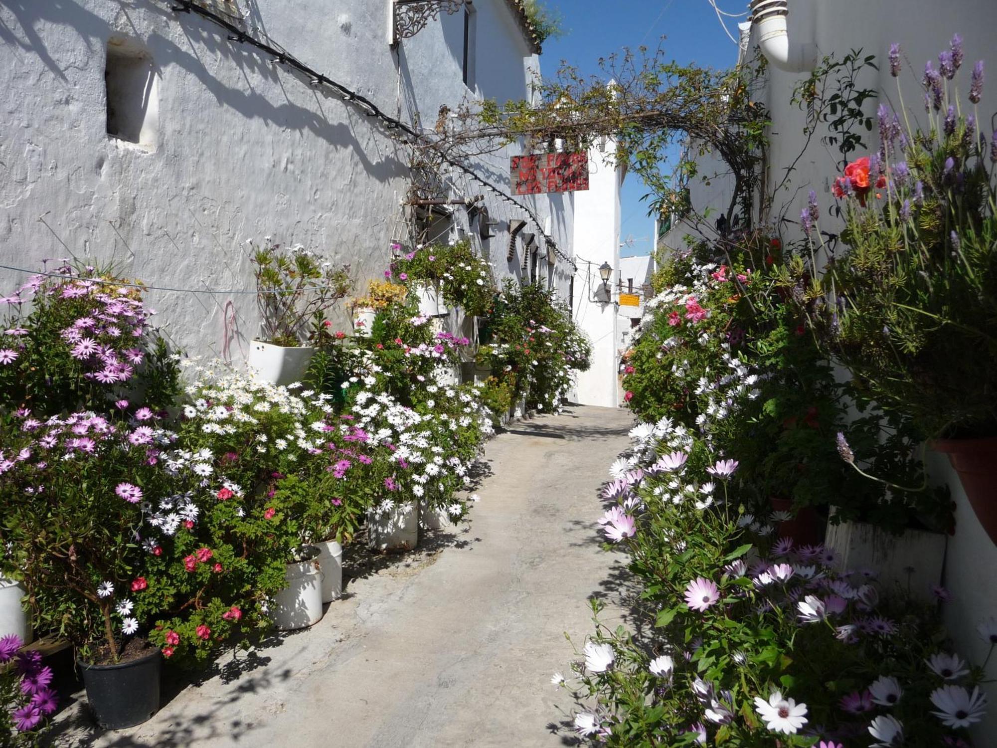 Vivienda Turistica De Alojamiento Rural Silla Vieja Vejer de la Frontera Dış mekan fotoğraf